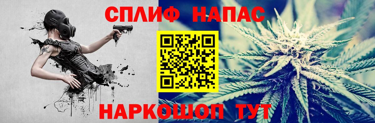 Конопля планчик Луга
